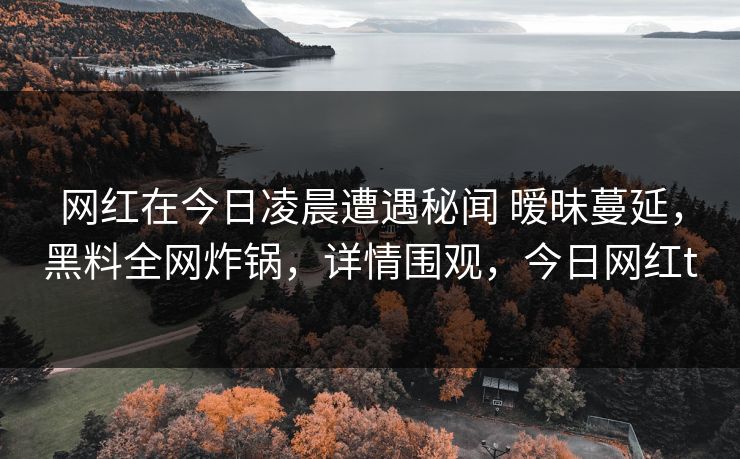 网红在今日凌晨遭遇秘闻 暧昧蔓延，黑料全网炸锅，详情围观，今日网红t