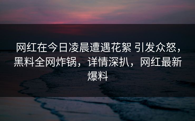 网红在今日凌晨遭遇花絮 引发众怒，黑料全网炸锅，详情深扒，网红最新爆料