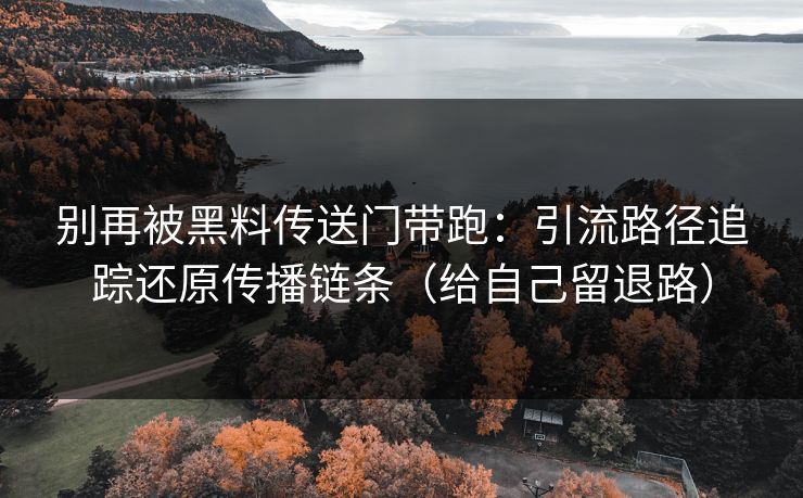 别再被黑料传送门带跑：引流路径追踪还原传播链条（给自己留退路）