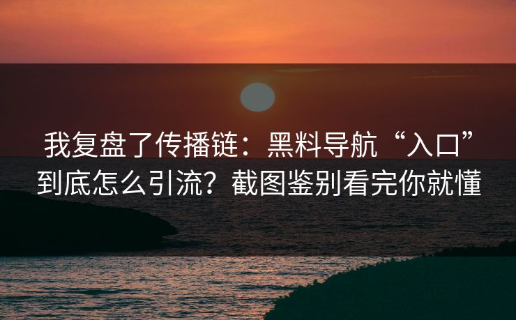 我复盘了传播链：黑料导航“入口”到底怎么引流？截图鉴别看完你就懂